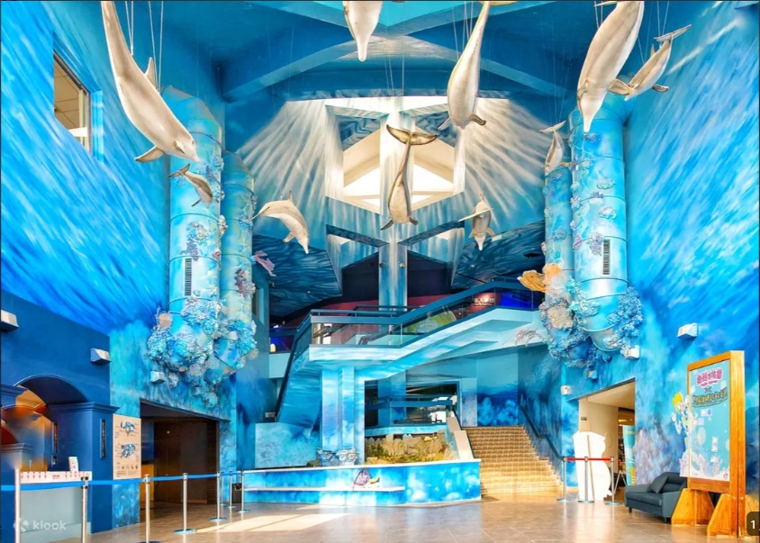 2026【台灣水族館推薦】Top8避雷評價總整理,親子室內放電景點一次看 12 1776828692879