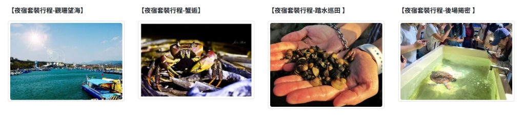 2026【夜宿海生館】票價、夜宿區域、標準與季節套裝行程整理 6 夜宿海生館
