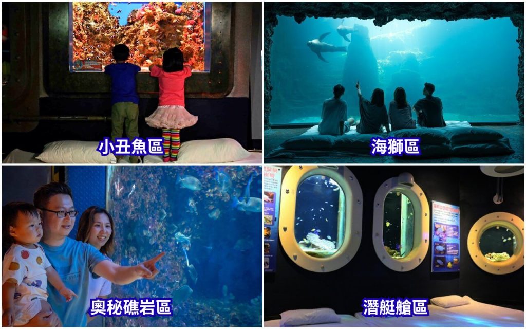 2026【夜宿海洋公園】遠雄海洋公園夜宿攻略,水族版、美人魚版、藍鯨艙露營車比較 8 夜宿海洋公園