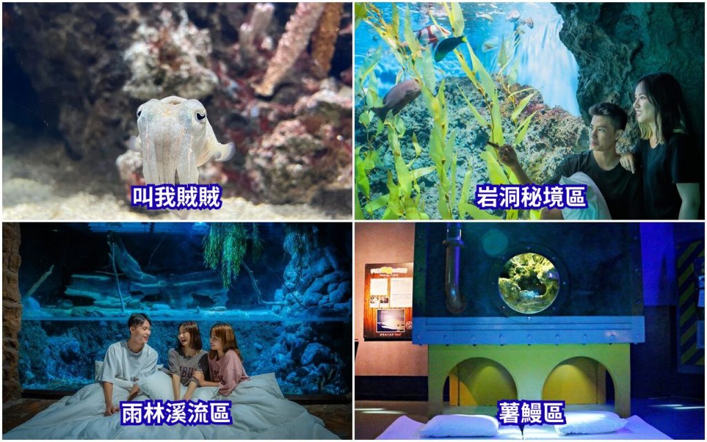 2026【夜宿海洋公園】遠雄海洋公園夜宿攻略,水族版、美人魚版、藍鯨艙露營車比較 9 夜宿海洋公園