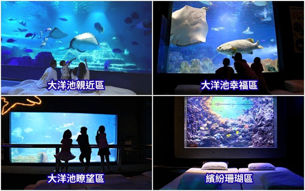 2026【夜宿海洋公園】遠雄海洋公園夜宿攻略,水族版、美人魚版、藍鯨艙露營車比較 7 夜宿海洋公園